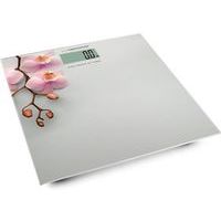 Esperanza Scales EBS010 в Notebooker.ua