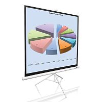 Elite Screens T85NWS1 в Notebooker.ua