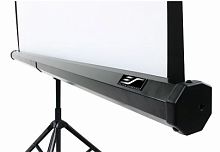 Elite Screens T120UWV1 в Notebooker.ua