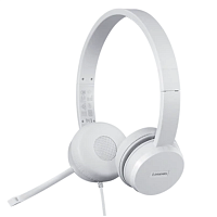 Стереогарнітура LENOVO 110 Stereo USB Headset (GXD1B67867) в Notebooker.ua