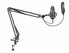 Мікрофон TRUST GXT 252 Emita Plus Microphone (22400) в Notebooker.ua