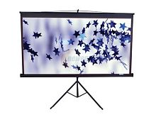 Elite Screens T136UWS1 в Notebooker.ua