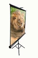 Elite Screens T85UWS1 в Notebooker.ua