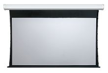 Elite Screens ELECTRIC 125XH (ELECTRIC125XH) в Notebooker.ua
