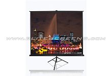 Elite Screens T84UWV1 в Notebooker.ua