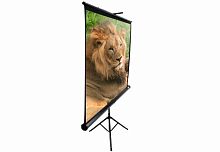 Проекційний екран Elite Screens T120NWV1 в Notebooker.ua