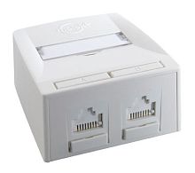 Настінний блок Synergy 2P DG+ C5E, UTP, білий SSY-00010-02 в Notebooker.ua