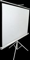 Elite Screens T113NWS1 в Notebooker.ua