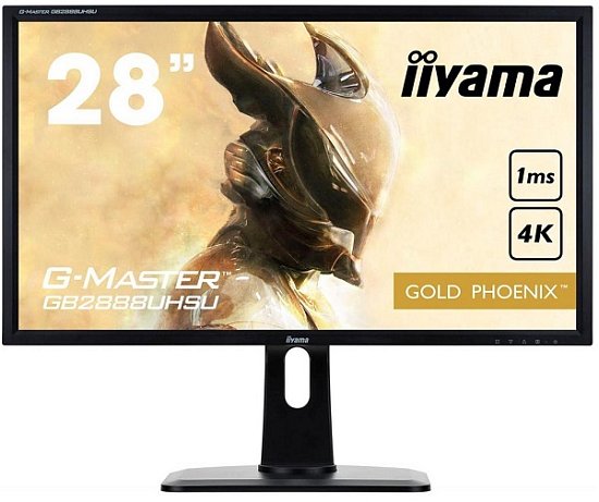 Монитор iiyama G-MASTER GB2888UHSU уже на складе