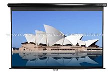 Elite Screens M100XWH в Notebooker.ua